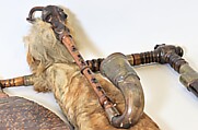 Bock, F. Ch. Wohlborld (German), Wood, horn, goatskin, cane reed, metal, various materials, German